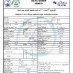 الکتروموتورجمکو 22KW 3000rpm (B35)